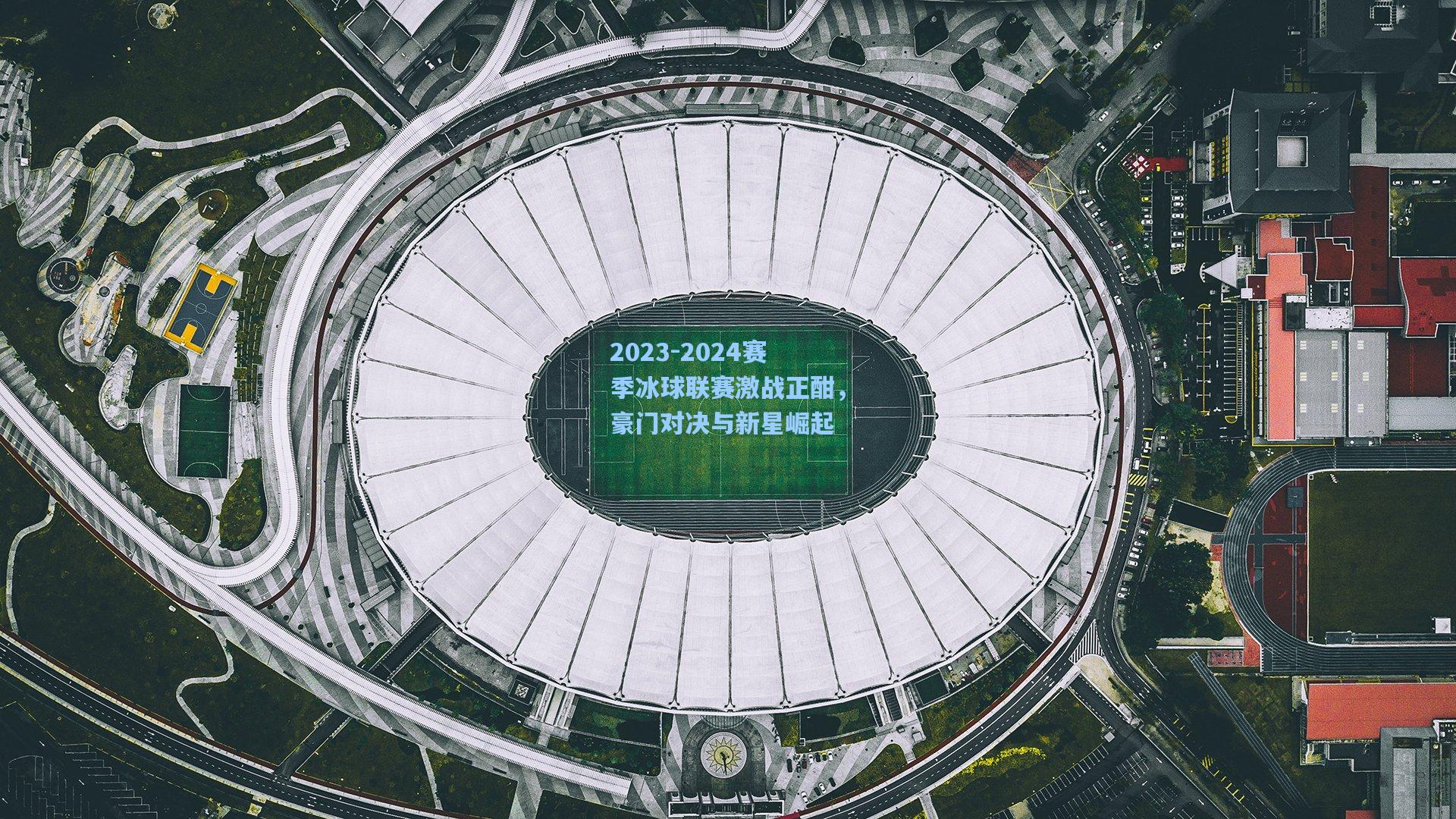 2023-2024赛季冰球联赛激战正酣，豪门对决与新星崛起